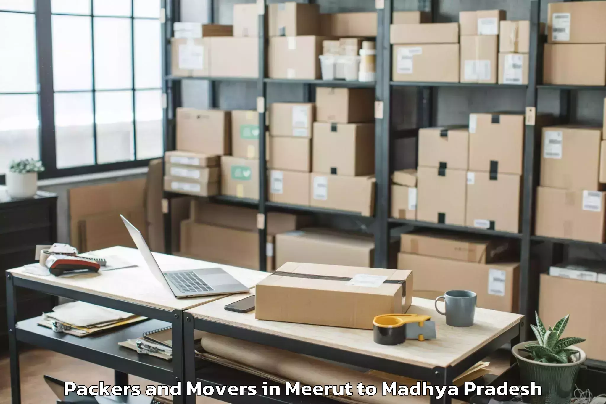 Book Meerut to Kutauli Packers And Movers Online